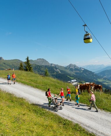 People walk up the mountain on a gravel road under a cable car | © Gruber Michael